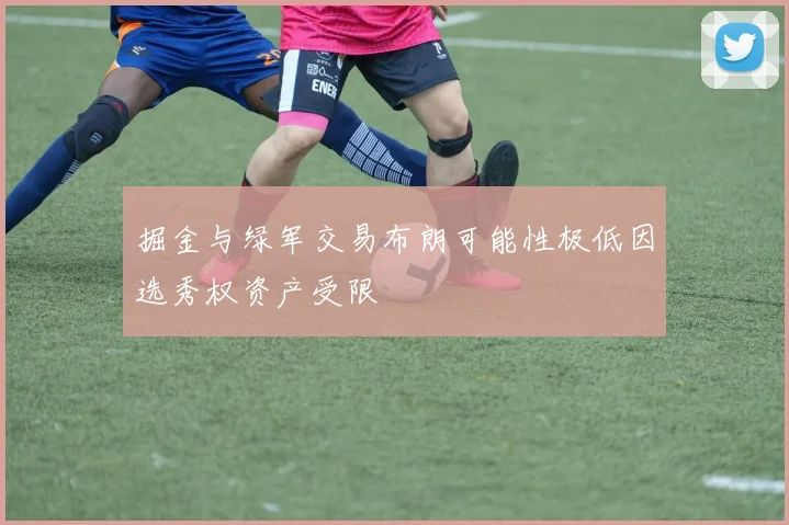 掘金与绿军交易布朗可能性极低因选秀权资产受限