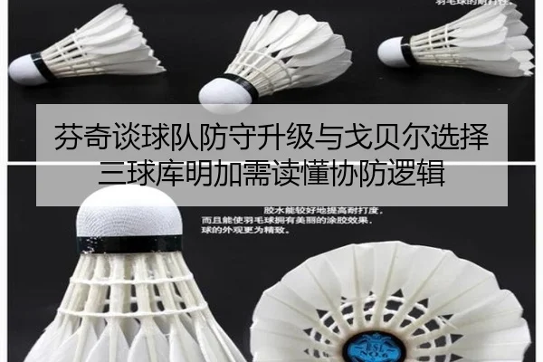 芬奇谈球队防守升级与戈贝尔选择 三球库明加需读懂协防逻辑 | ShuangYing